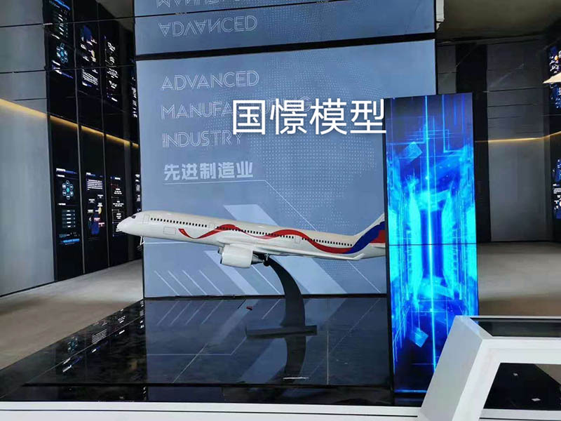 镇安县飞机模型